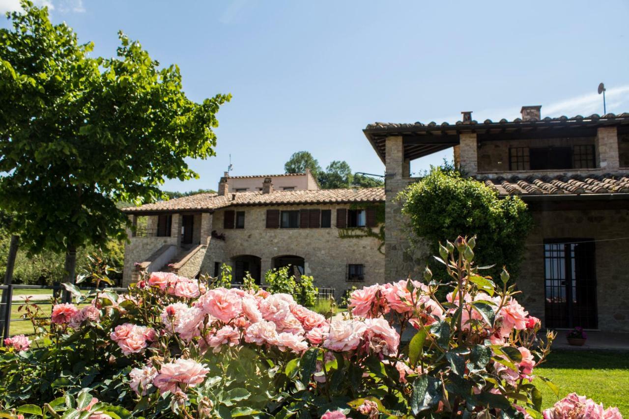 Poggio del Bolognino Villa Lugnano in Teverina Esterno foto